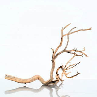 Manzanita Driftwood individually photographed with slender curved branches and natural wood texture, manzanita for pets aquarium terrarium