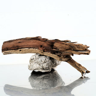 Micro Manzanita Driftwood individually photographed with rugged natural wood texture and sculpted form, manzanita for pets aquarium terrarium