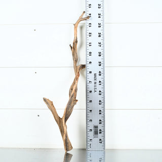 Micro Manzanita Driftwood