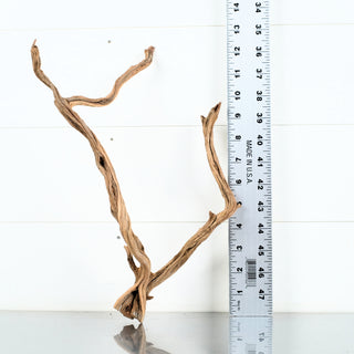 Micro Manzanita Driftwood