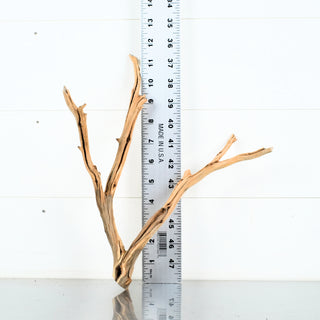 Micro Manzanita Driftwood