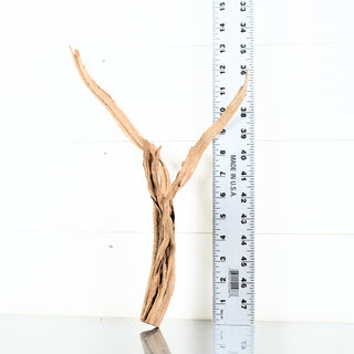 Micro Manzanita Driftwood