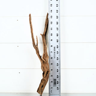Micro Manzanita Driftwood