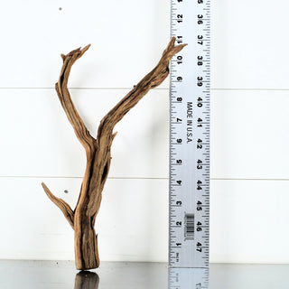 Micro Manzanita Driftwood