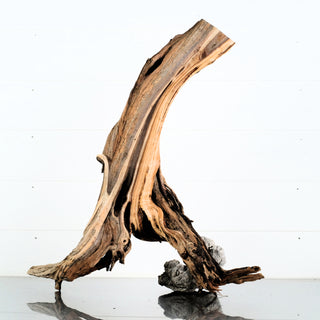 Manzanita Driftwood