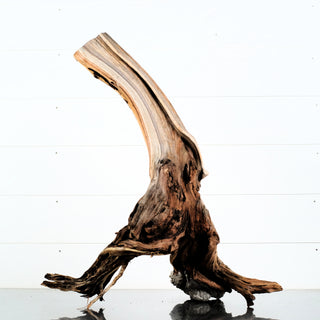 Manzanita Driftwood