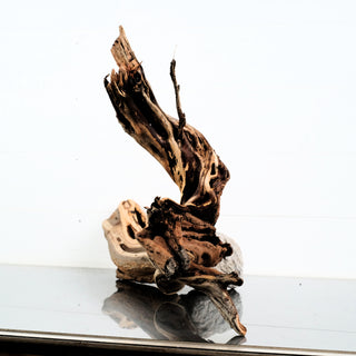 Manzanita Driftwood