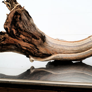 Manzanita Driftwood