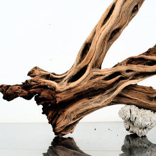 Manzanita Driftwood