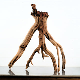 Manzanita Driftwood