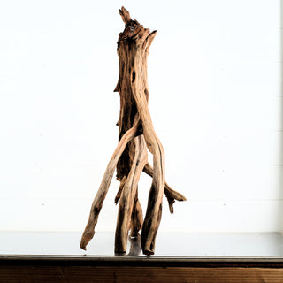 Manzanita Driftwood