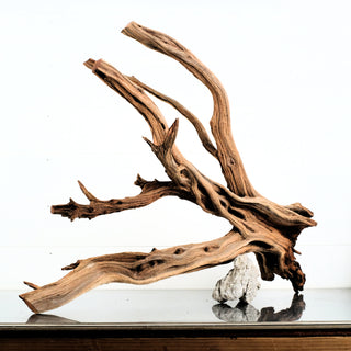 Manzanita Driftwood