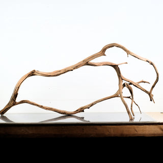 Manzanita Driftwood