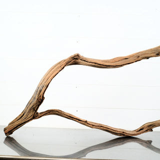 Manzanita Driftwood