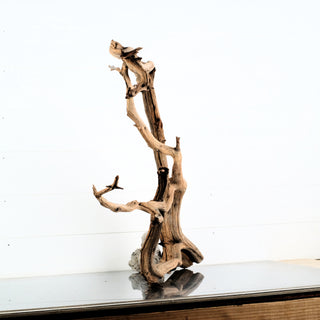 Manzanita Driftwood