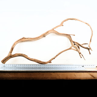 Manzanita Driftwood