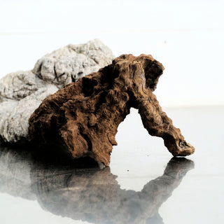 Micro Manzanita Driftwood individually photographed with rugged textured surface and weathered natural contours, manzanita for pets.