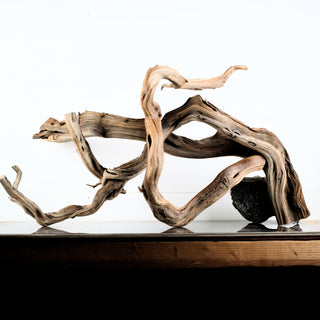 Manzanita Driftwood (Set of 2)