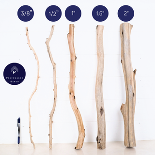 Natural Stick Pack (Set of 5) - Multiple Sizes