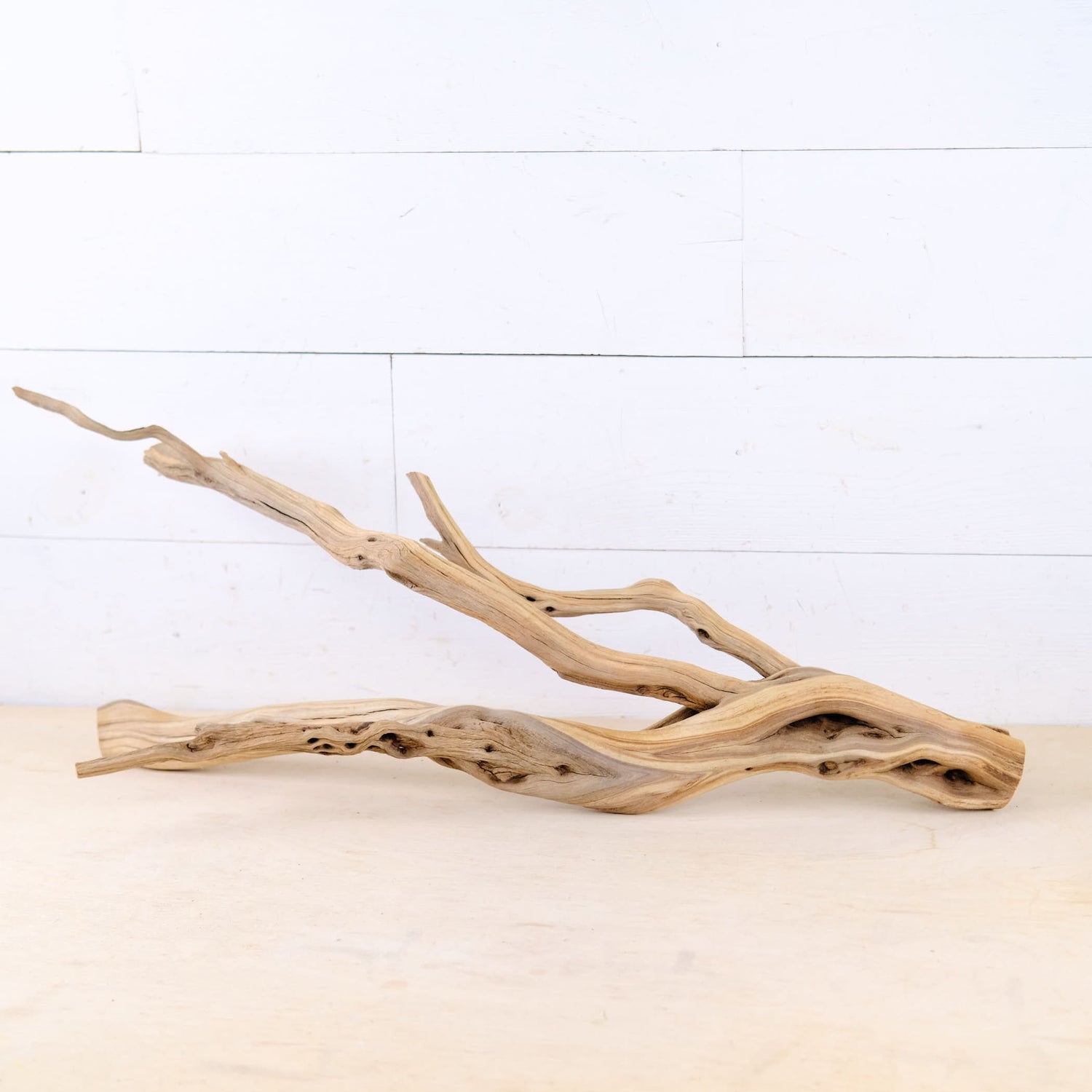 Manzanita 26" Branch, Large Aquascape Driftwood, Aquarium Wood Centerpiece, Natural Fish Tank Decor, Reptile Vivarium Branch