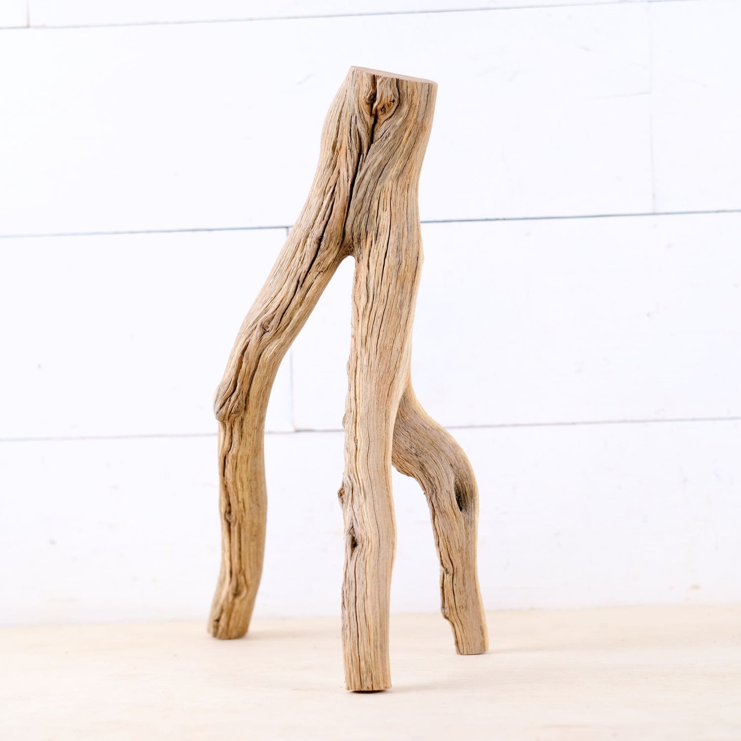 Manzanita 13" Branch, Aquascape Driftwood, Aquarium Wood Centerpiece, Natural Fish Tank Decor, Small Aquarium Wood, Betta Branch
