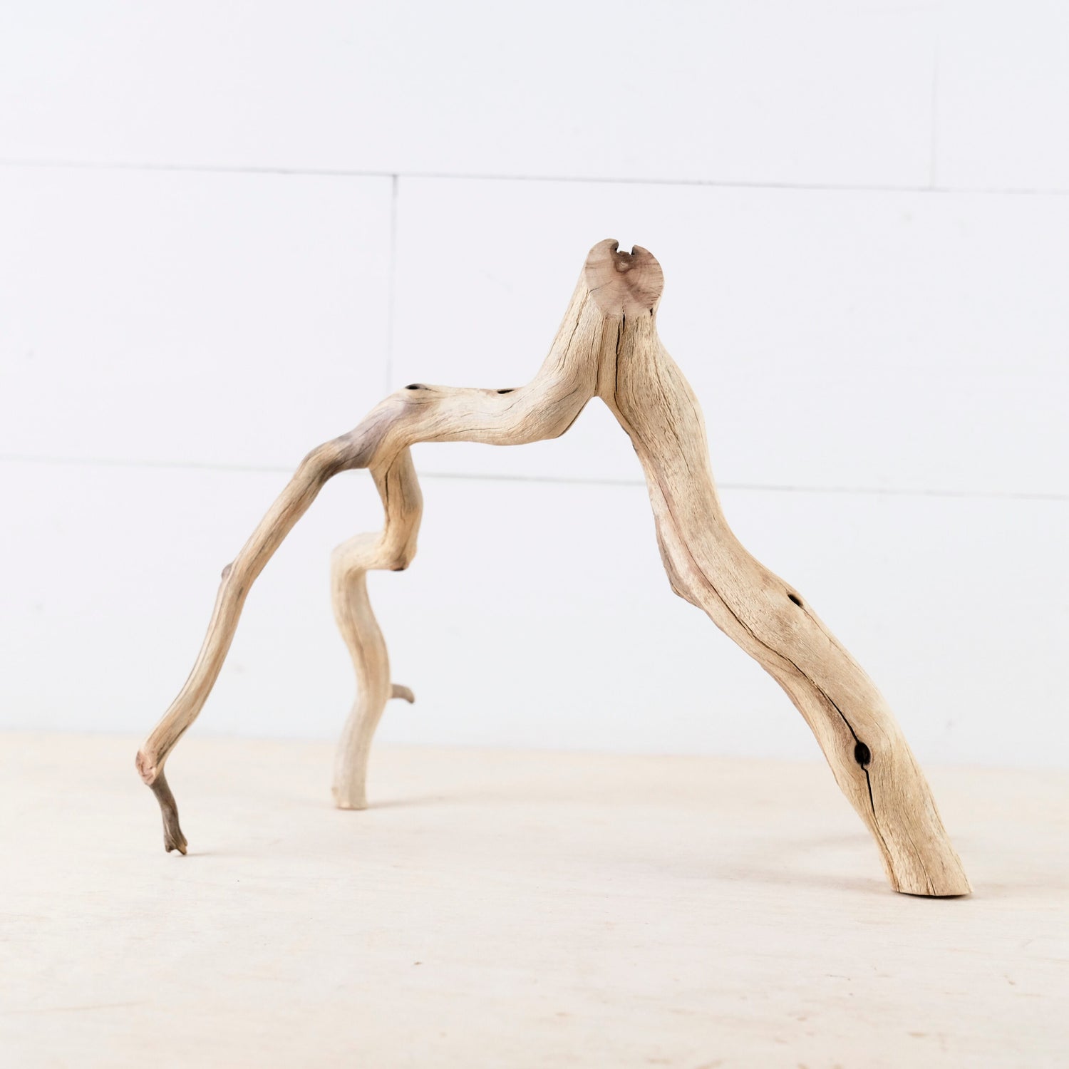 11.5" Manzanita Branch, Small Aquarium Wood, Aquascape Driftwood, Narrow Fish Tank Decor, Terrarium Branch