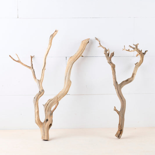Manzanita 13-15" Driftwood Branches (Set of 2), Aquarium Decor, Aquascape Branch, Terrarium Wood, Natural Fish Tank Decor