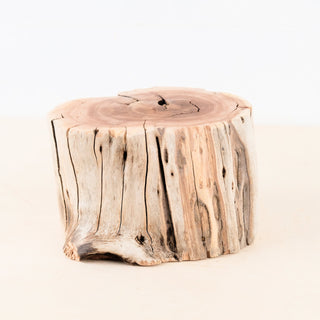 Manzanita Driftwood Stump 6.75", Aquarium Decor, Aquascape Wood, Reptile Vivarium Wood