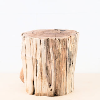 Manzanita Driftwood Stump 9.5", Aquarium Decor, Aquascape Wood, Reptile Vivarium Wood