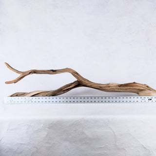 Manzanita 48" Branch, Mantel Home Decor Driftwood, Aquascape Aquarium Wood Centerpiece, Reptile Terrarium Branch