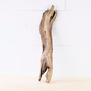 23" Manzanita Driftwood Chunk, Weathered Aquarium Driftwood Root, Aquascape Log Decor, Small Reptile Perch