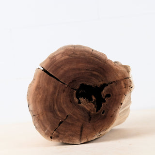 Manzanita Driftwood Stump 8.5", Aquarium Decor, Aquascape Wood, Reptile Vivarium Wood