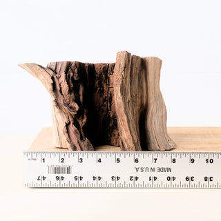 Manzanita Driftwood Stump 9", Aquarium Decor, Aquascape Wood, Reptile Vivarium Wood