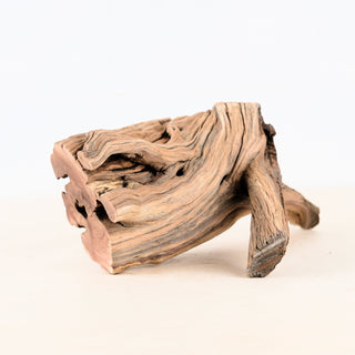 Manzanita Driftwood Stump 10", Aquarium Decor, Aquascape Wood, Reptile Vivarium Wood