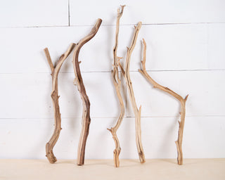 reptile climb sticks chameleon sticks