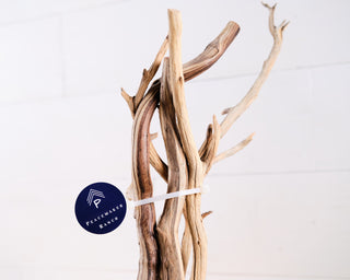 climb sticks wood