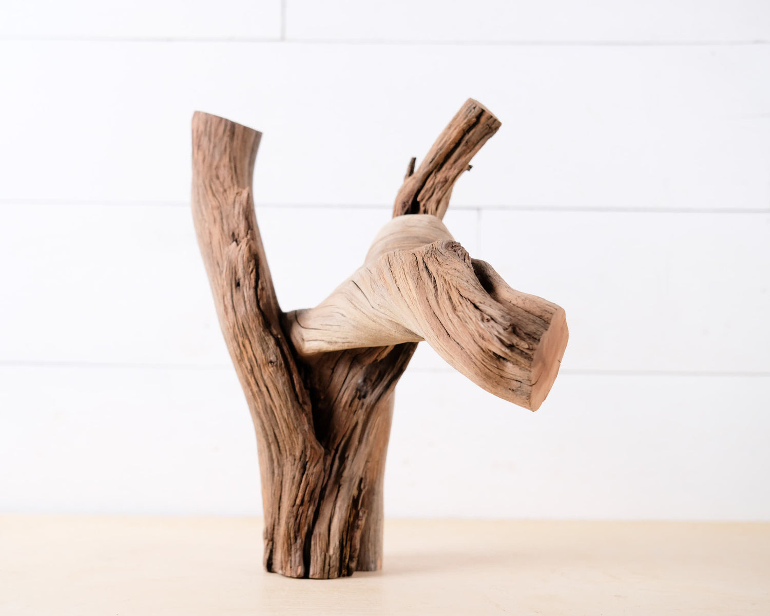 13” Manzanita Driftwood Branch