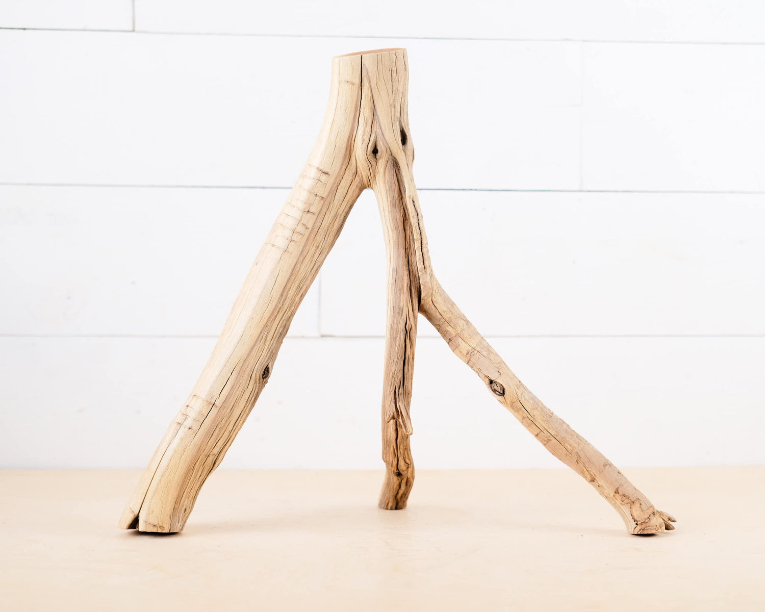 16" Manzanita Branch
