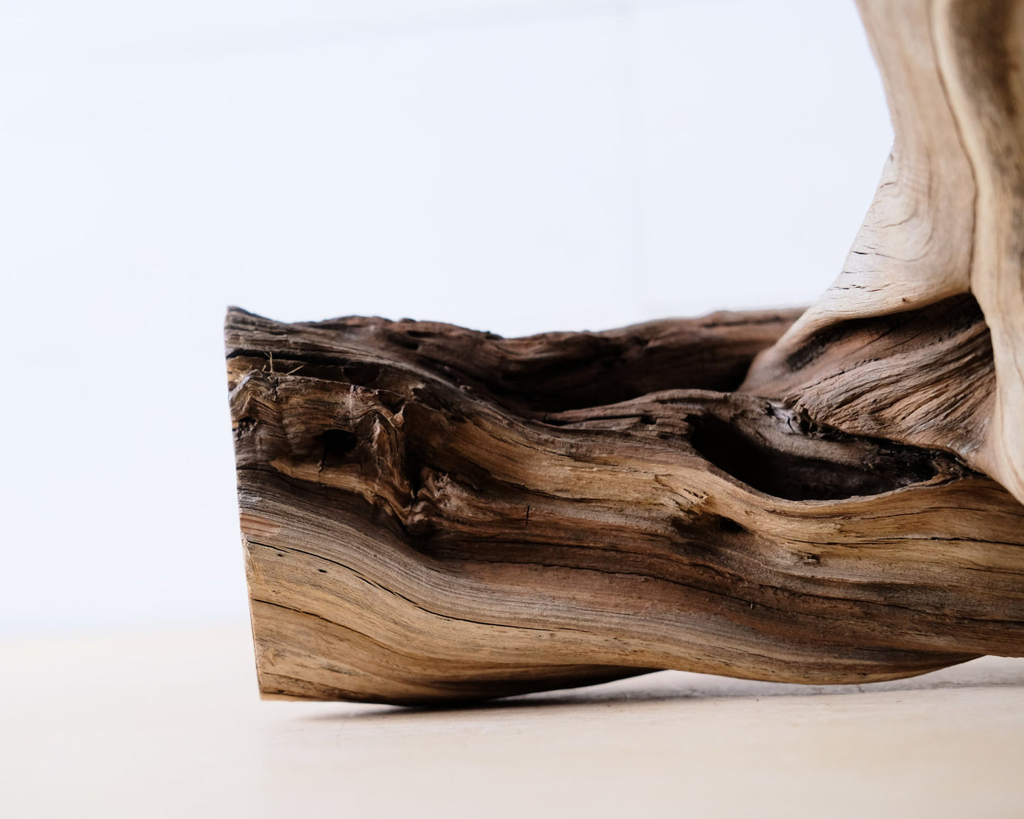 13” Manzanita Driftwood Branch