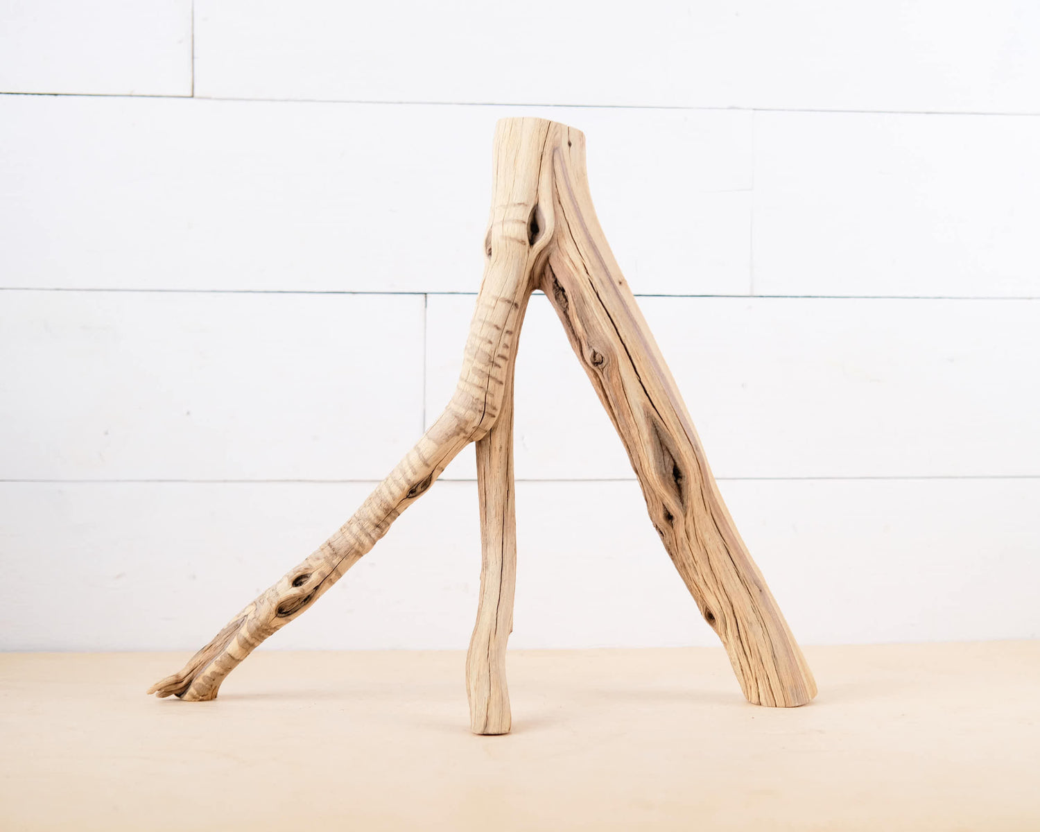 16" Manzanita Branch