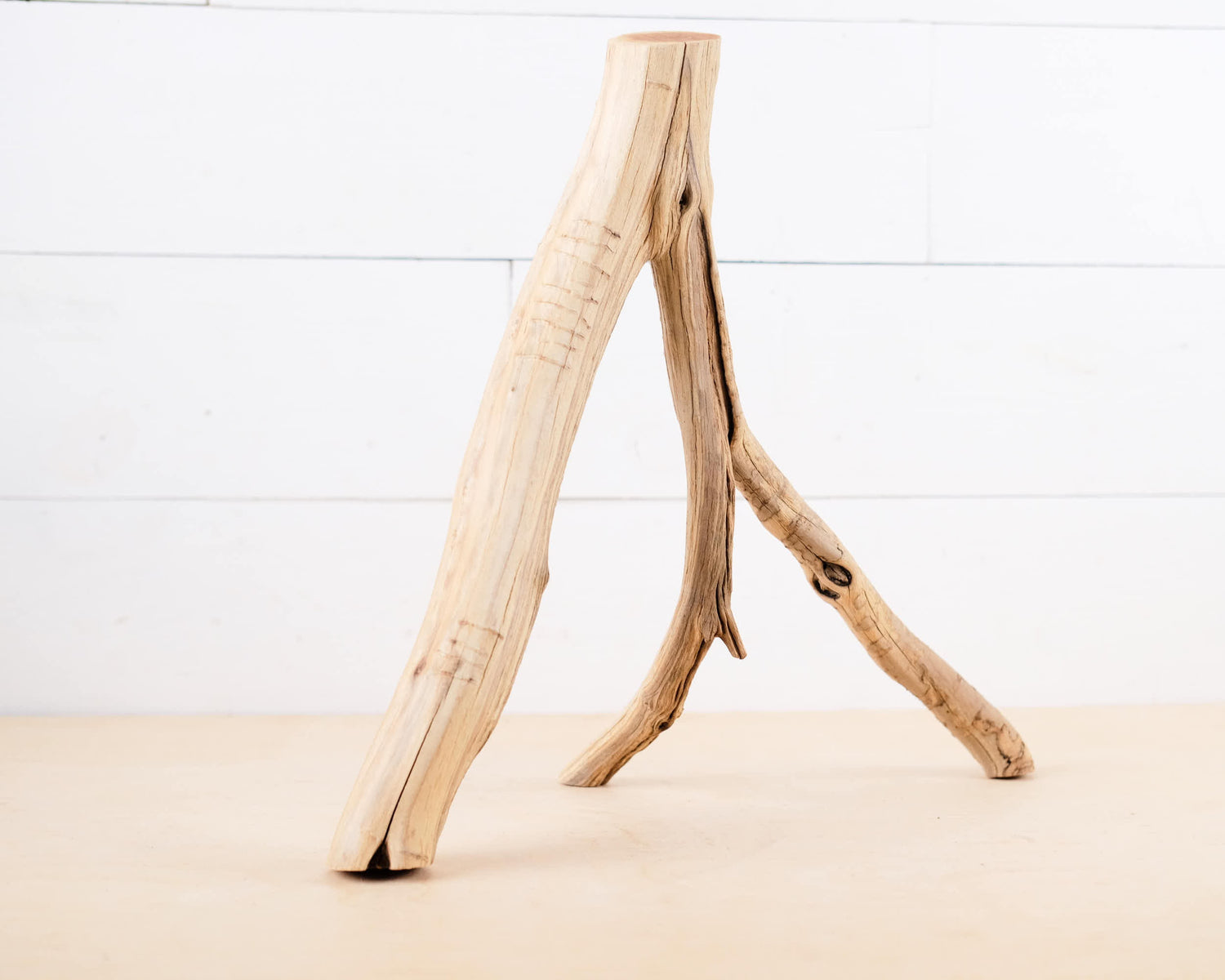 16" Manzanita Branch