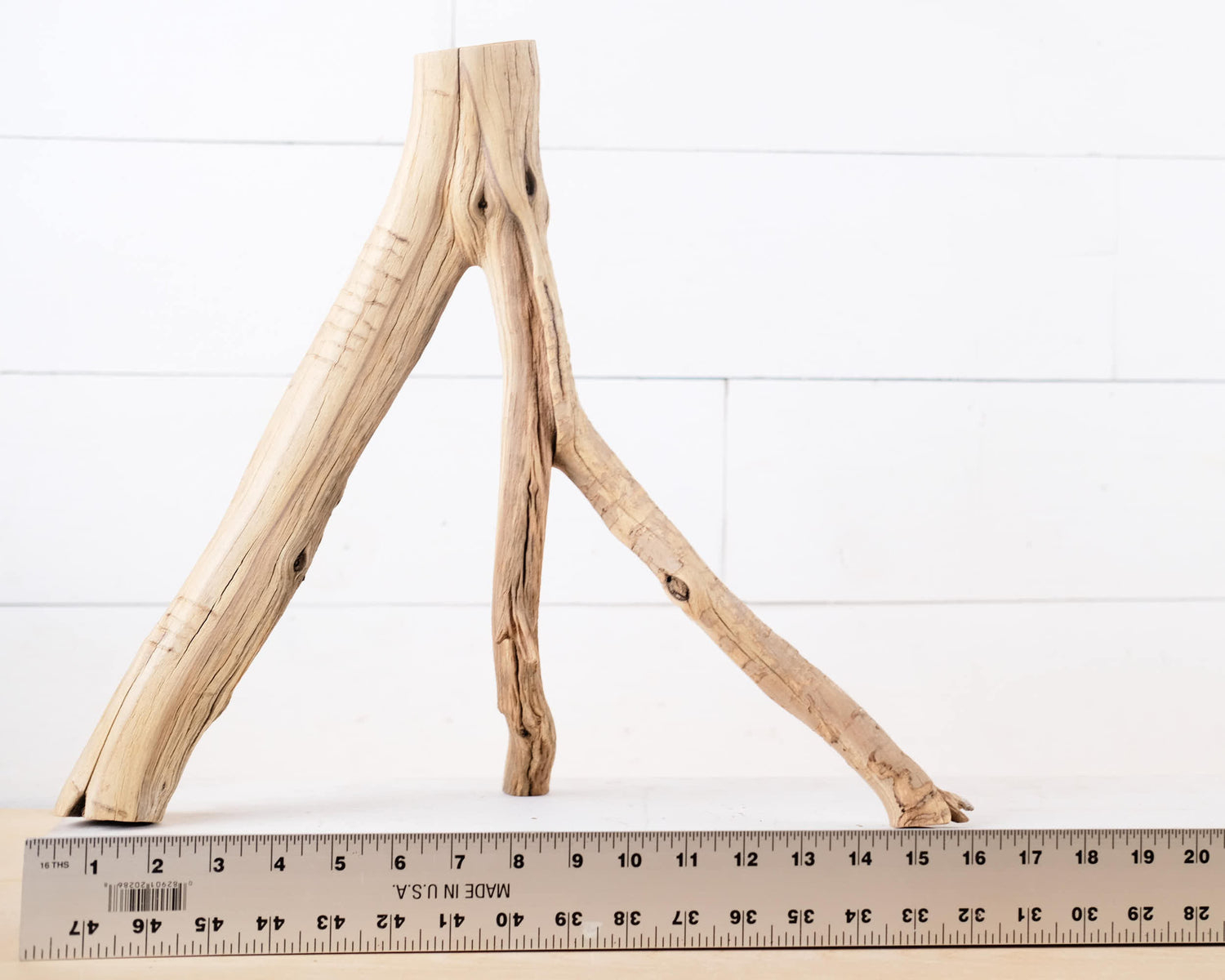 16" Manzanita Branch