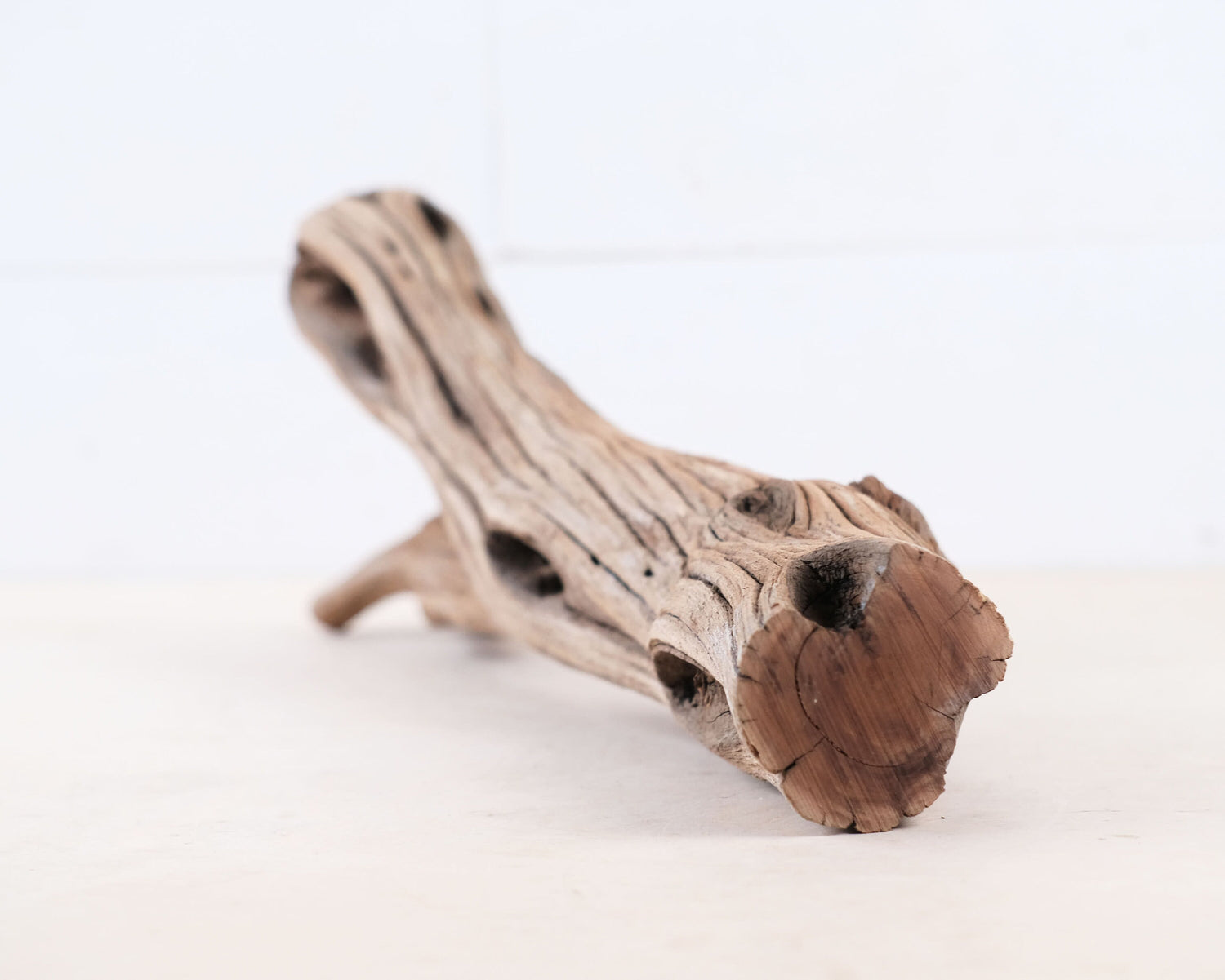 Manzanita 14" Branch