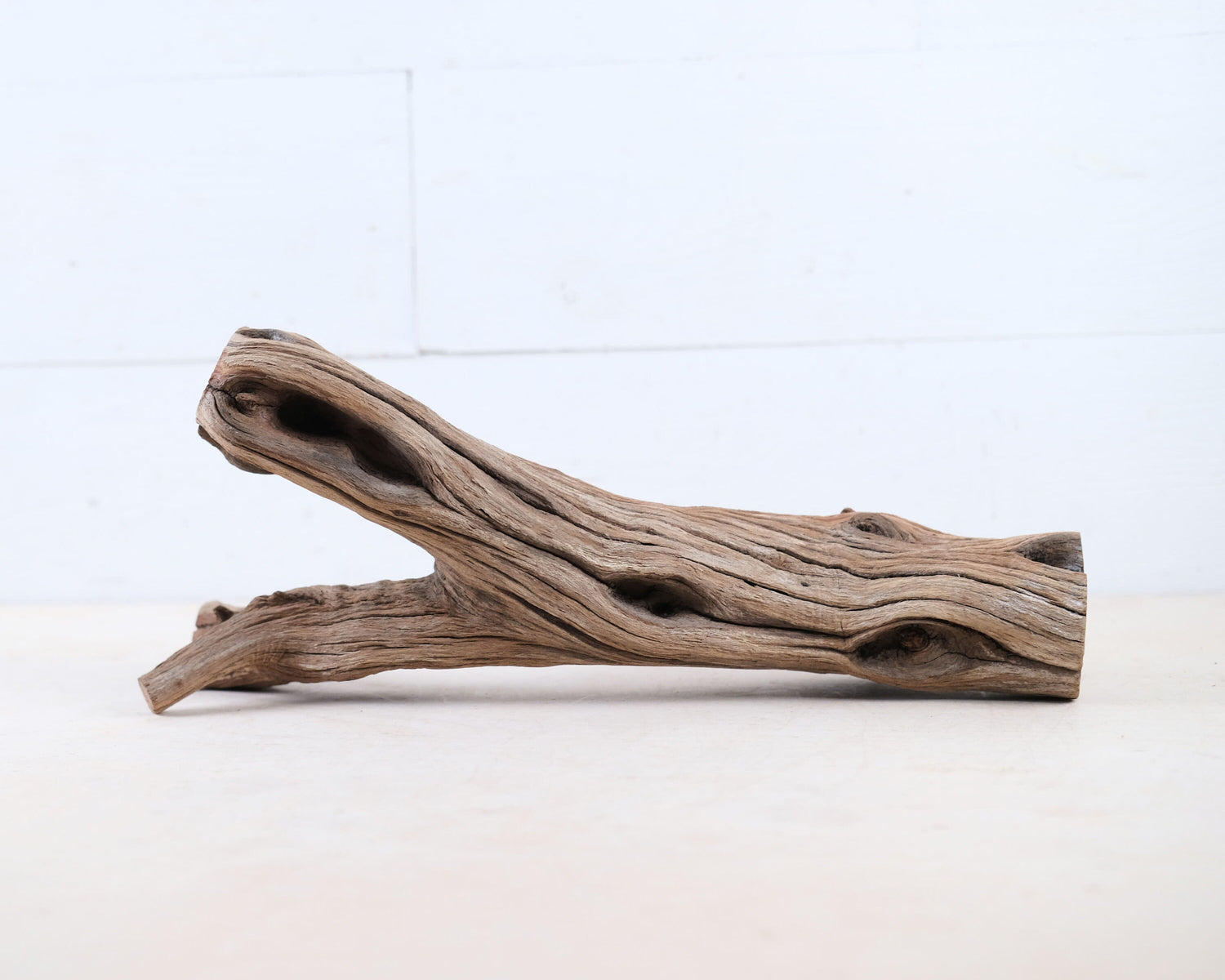 Manzanita 14" Branch