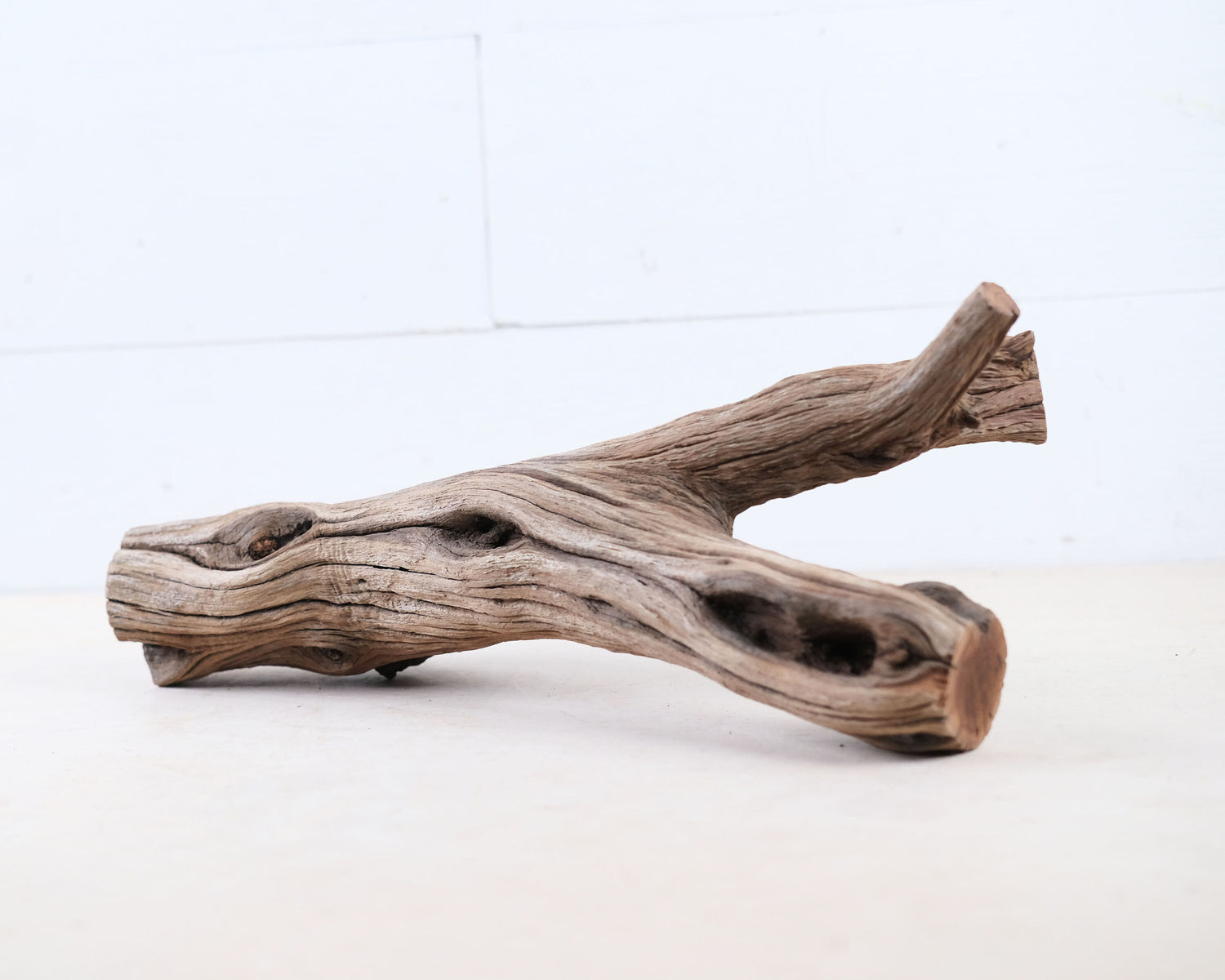 Manzanita 14" Branch