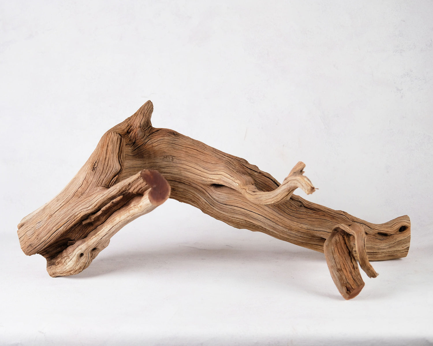 32" Manzanita XL Branch