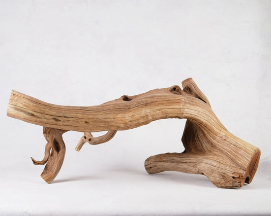32" Manzanita XL Branch
