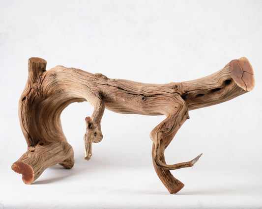 32" Manzanita XL Branch