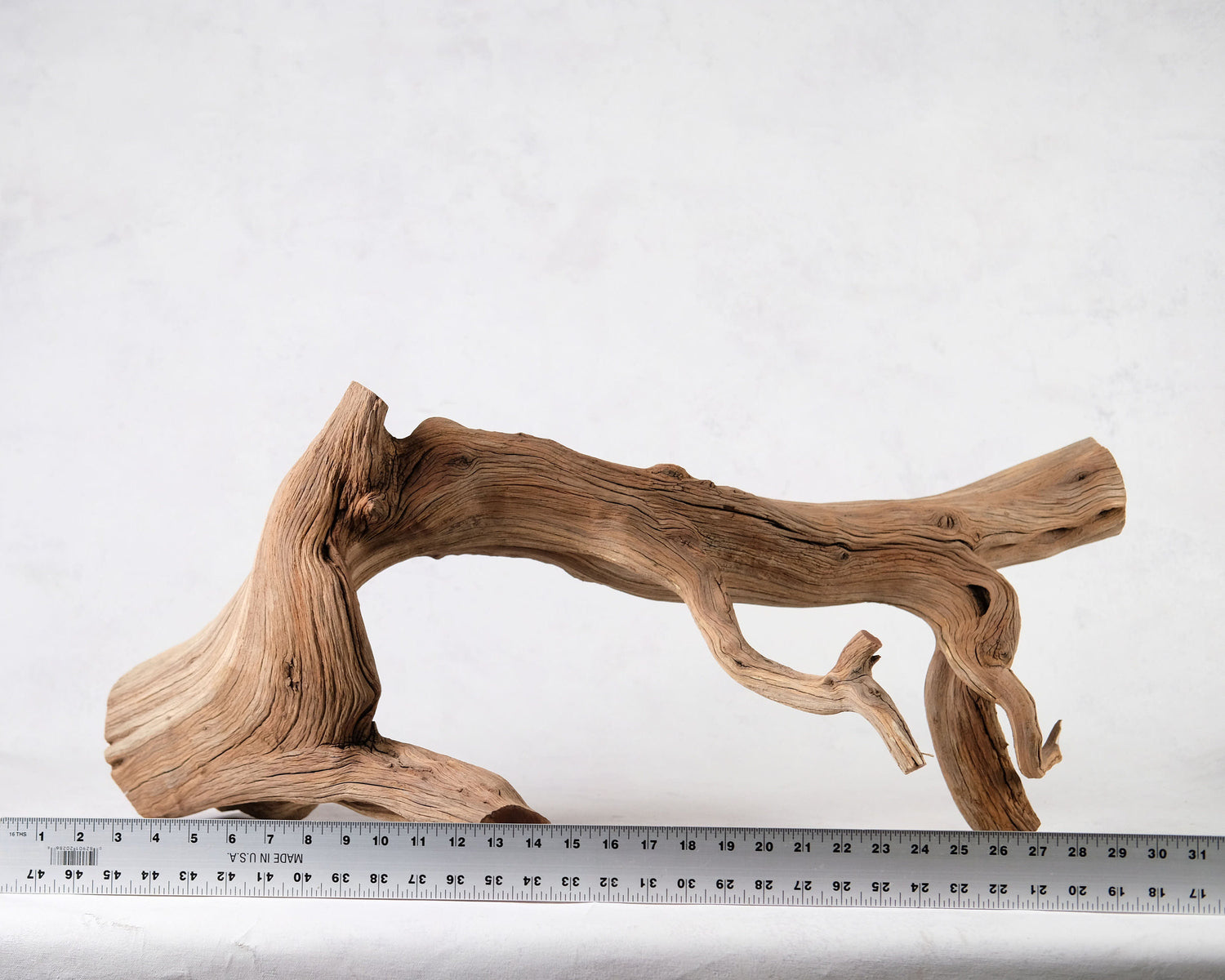 32" Manzanita XL Branch
