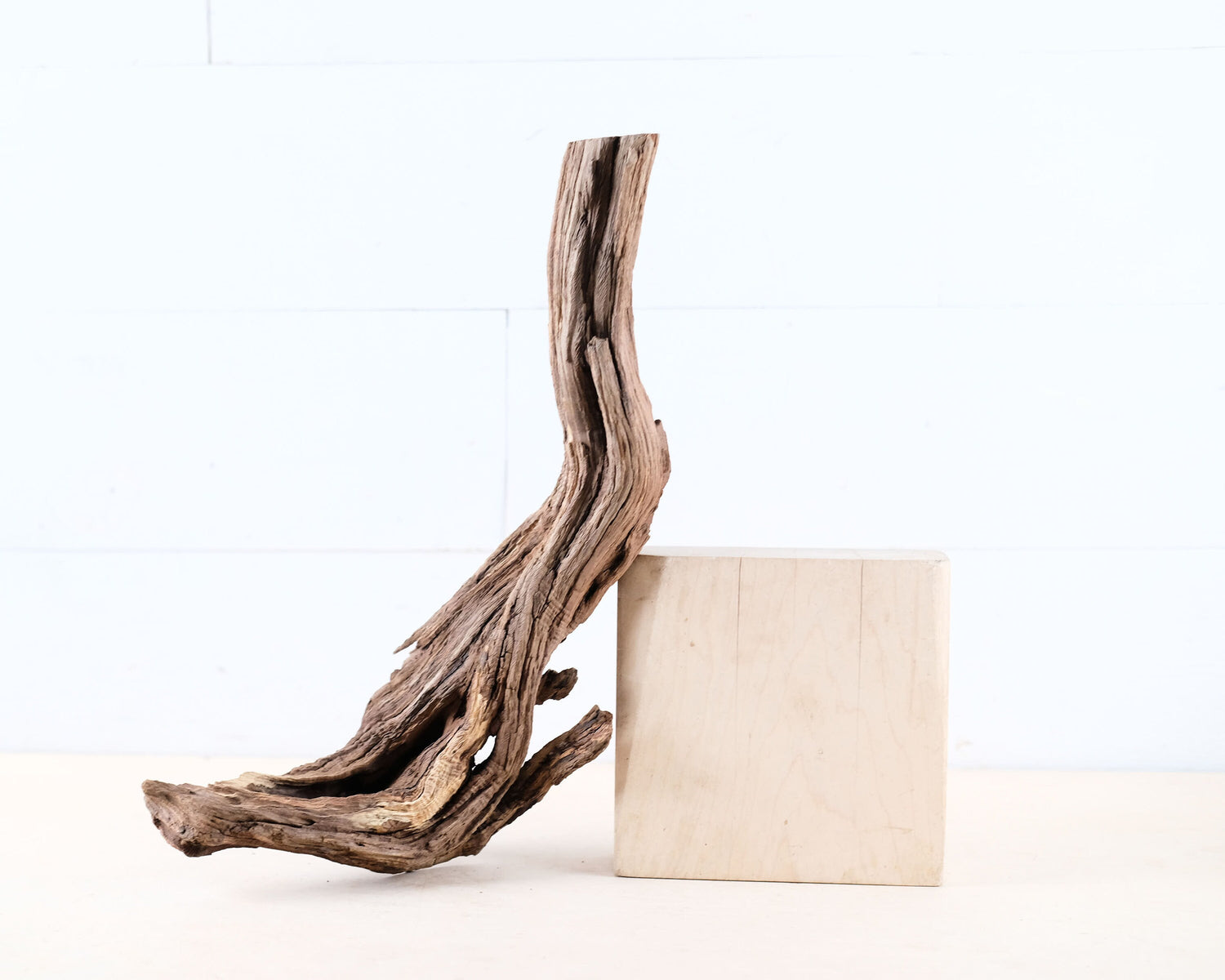 Manzanita 15" Driftwood Root